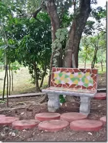 SAN CARLOS , LA LAGUNA VENDO FINCA CON CASA - Imagen 8