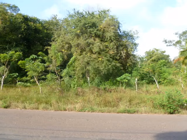 Vendo Dos Terreno en Caimitillo