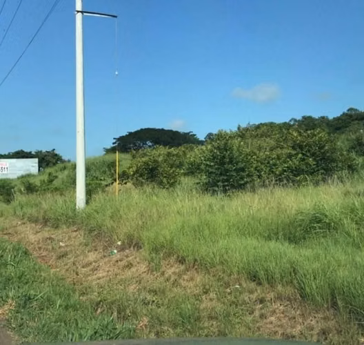 Vendo 19,614m2 Frente Vía Interamericana El Roble Aguadulce $45 xm2