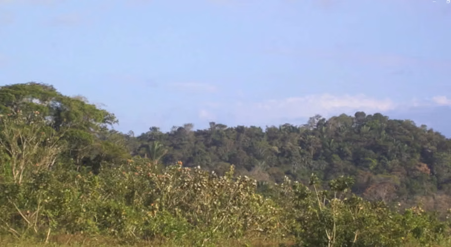 Oportunidad de inversión entre Rio y Lago Gatún , Colón, Panamá - Imagen 3