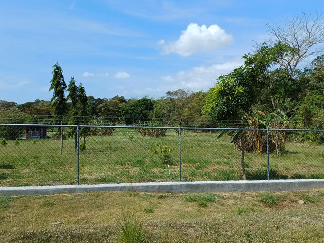 Land for Sale in Las Uvas, San Carlos, West Panama