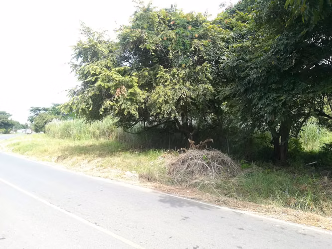 Veracruz terreno Super Céntrico.  Avenida Principal.