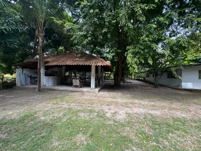 Venta de Casa con terreno Playa Santa Clara Árboles Frutales