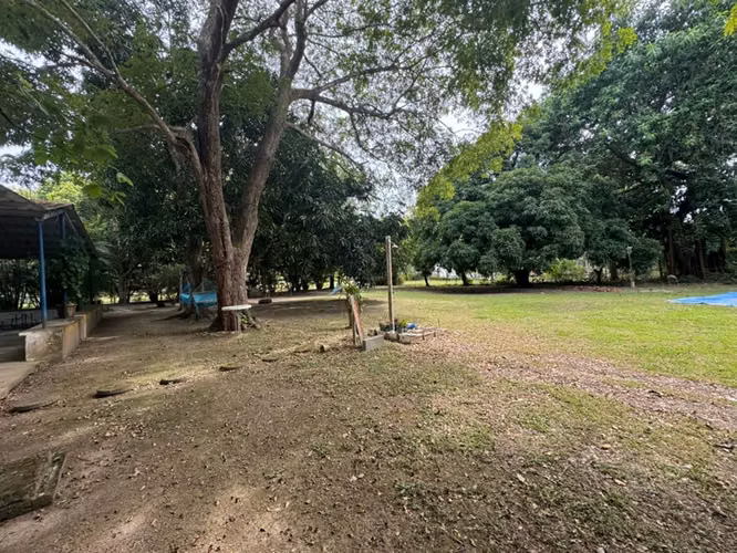 Venta de Casa con terreno Playa Santa Clara Árboles Frutales