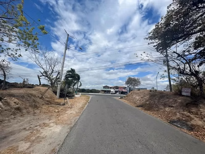 Venta de Terreno Estratégico 7.9 Hectáreas – Vía Panamericana, San Carlos