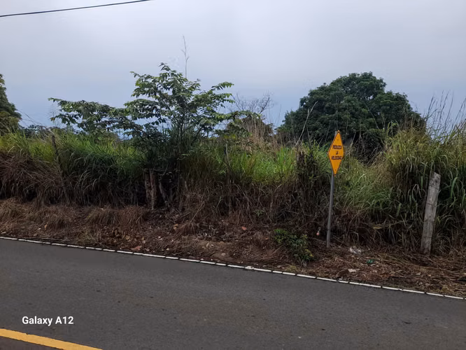 Vendo Terreno en Punta barco, 11 hectáreas, planas