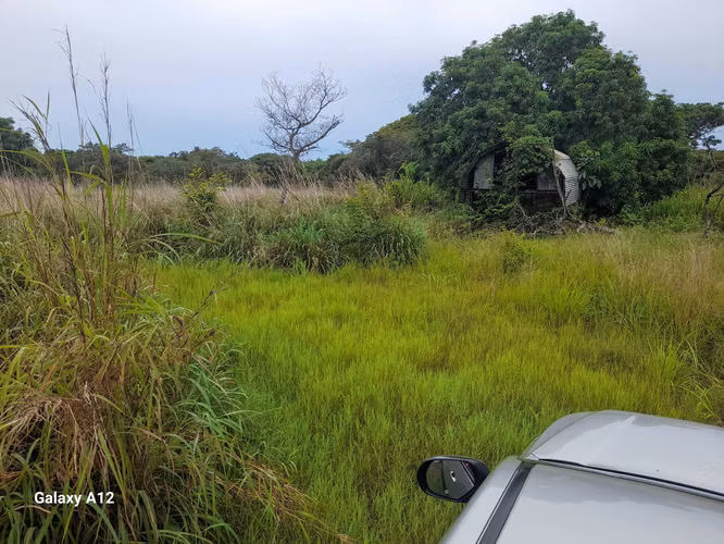 Vendo Terreno en Punta barco, 11 hectáreas, planas