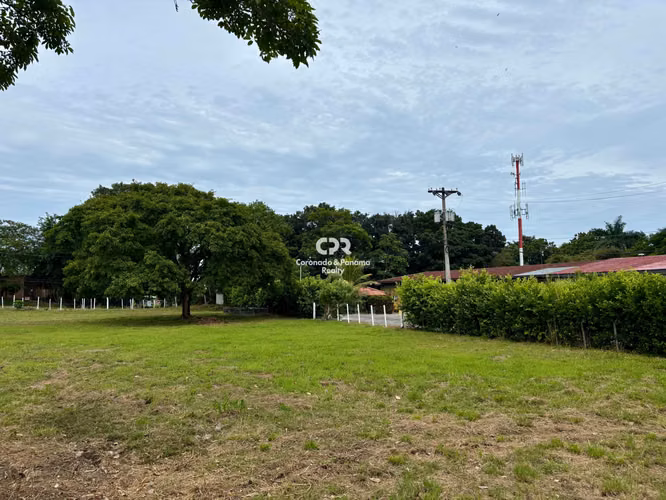 Venta de Terreno en Coronado, Club de Golf. - Imagen 10