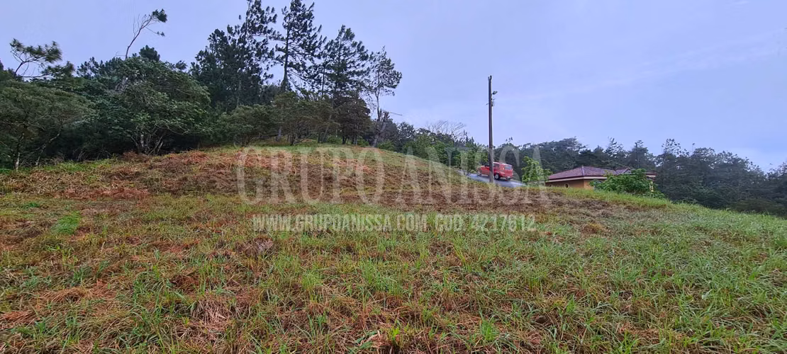 Se Vende Hermoso Terreno con vistas en zona Alta de Altos del Maria - Imagen 6