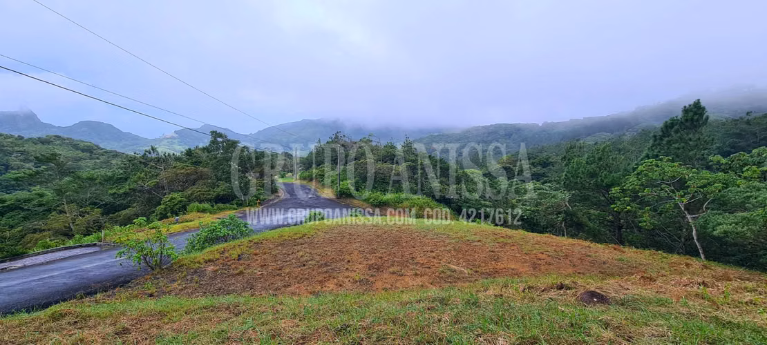 Se Vende Hermoso Terreno con vistas en zona Alta de Altos del Maria - Imagen 2
