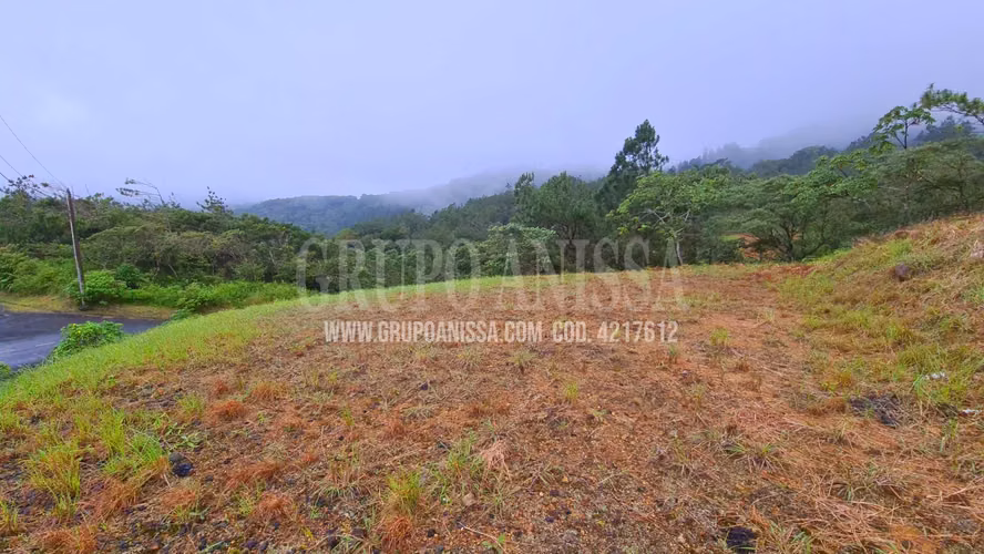Se Vende Hermoso Terreno con vistas en zona Alta de Altos del Maria - Imagen 4