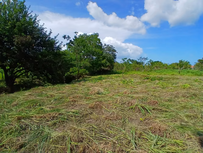 Land for Sale in San José, Panama – 5 Minutes from Coronado & Beaches