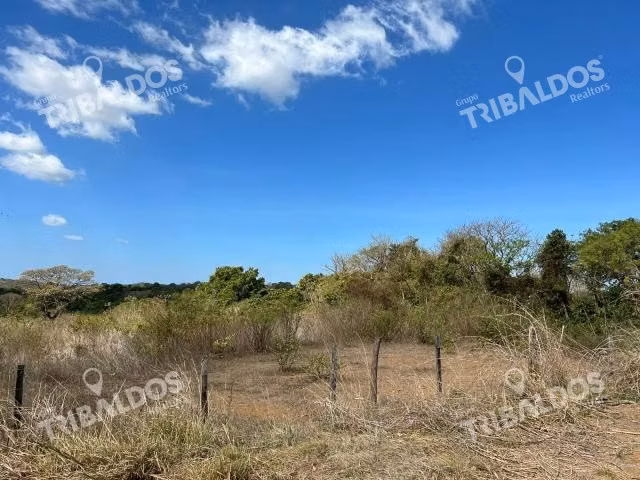 Terreno para inversión en Veraguas, Santiago