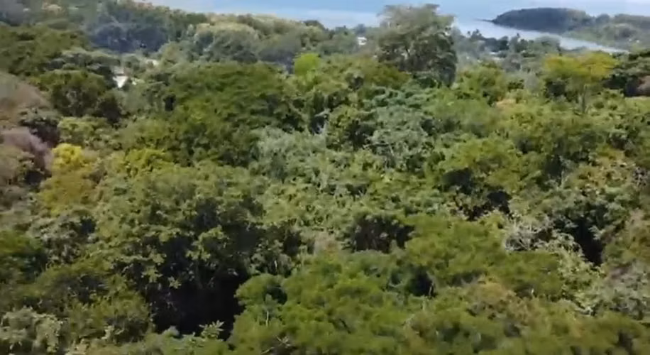 Arraiján, Veracruz – Majagual