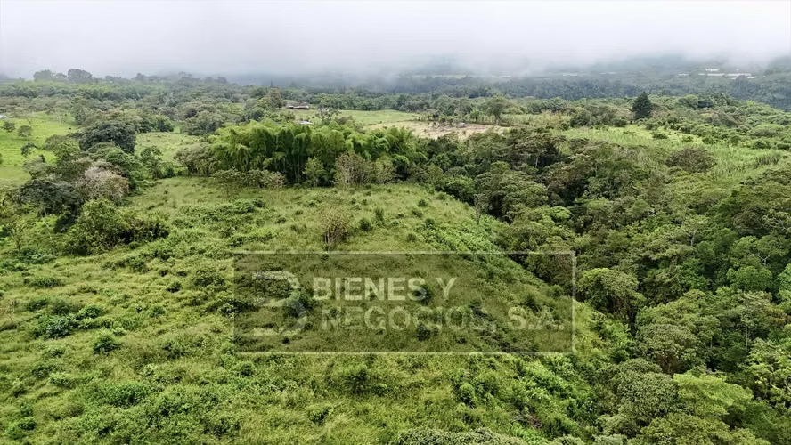Terreno en Chiriqui, Boqueron, 7.4 hectáreas en Paraiso