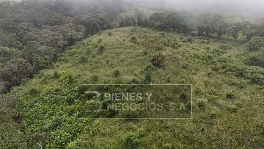 Terreno en Chiriqui, Boqueron, 7.4 hectáreas en Paraiso