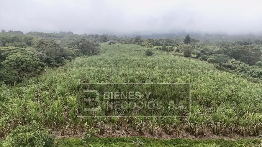 Terreno en Chiriqui, Boqueron, 7.4 hectáreas en Paraiso