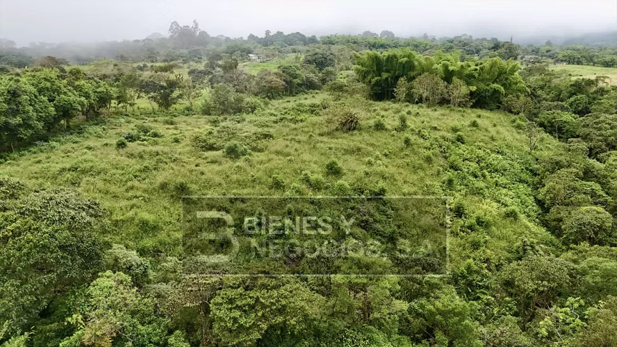 Terreno en Chiriqui, Boqueron, 7.4 hectáreas en Paraiso