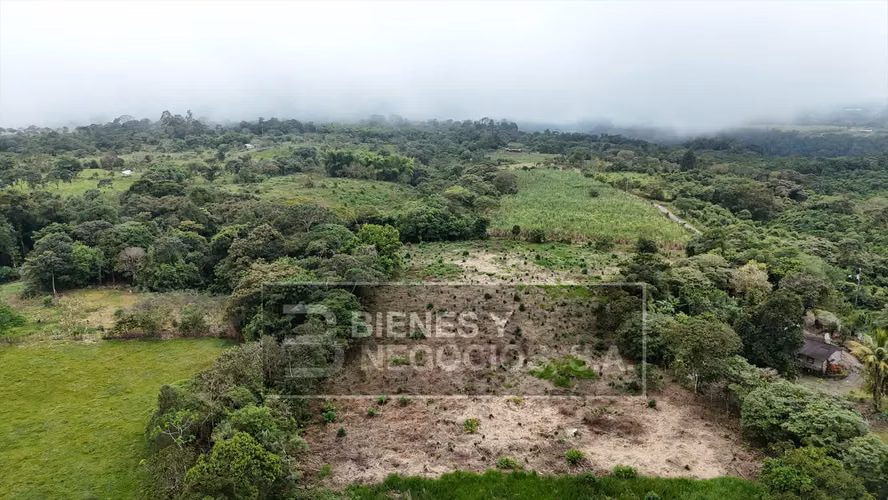 Terreno en Chiriqui, Boqueron, 7.4 hectáreas en Paraiso