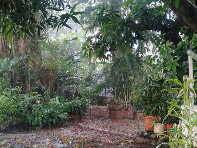 CASA EN VENTA EN EL CARMEN, con oportunidad de proyecto comercial