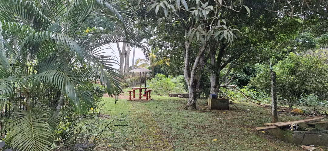 VENDO FINCA 1.7HTS CERRO CAMA, LA CHORRERA 250K