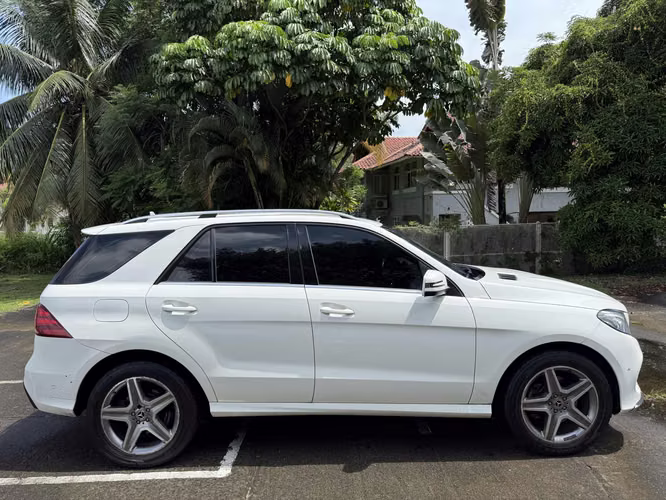 Mercedes Benz GLE 300