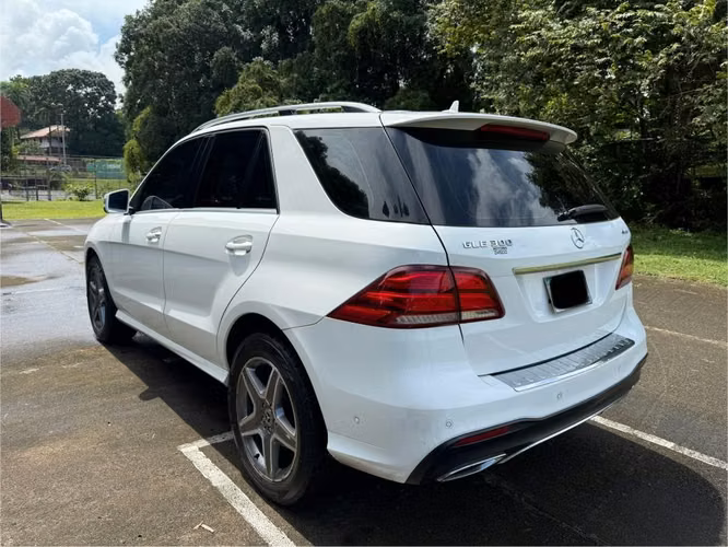Mercedes Benz GLE 300