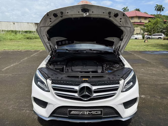 Mercedes Benz GLE 300