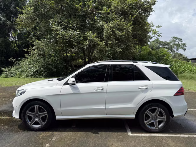 Mercedes Benz GLE 300