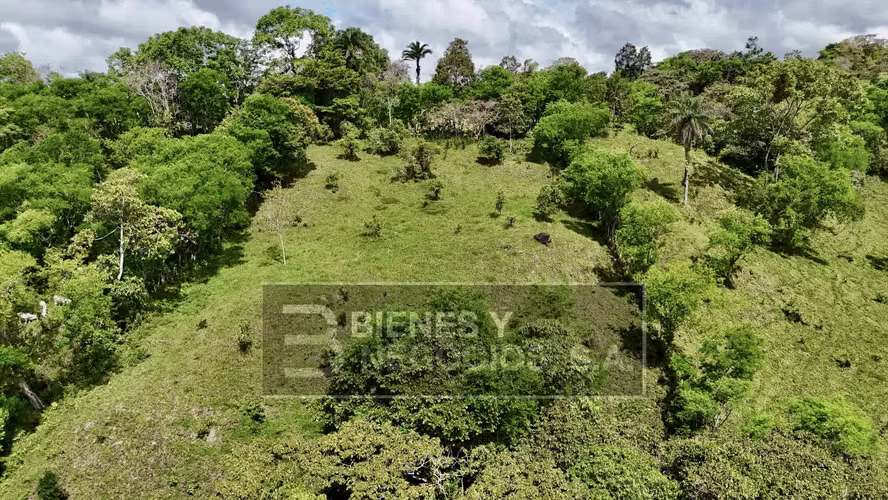 Finca en Chiriqui, San Andrés 8.7 hectáreas en Quebrada Llana