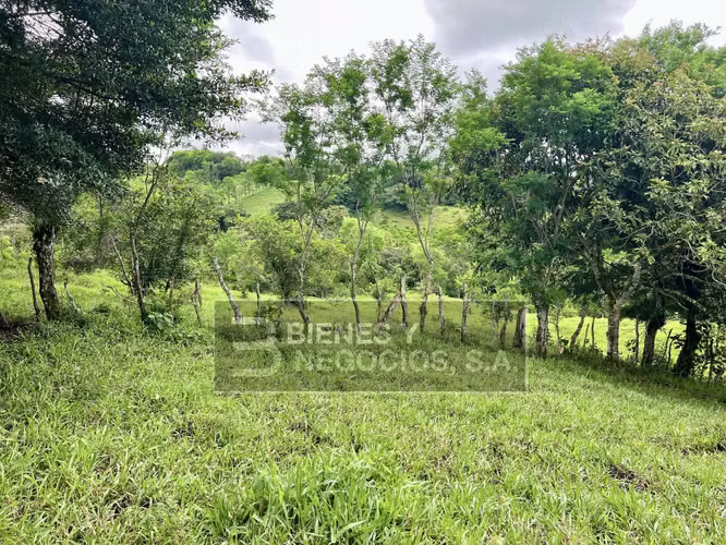 Finca en Chiriqui, San Andrés 8.7 hectáreas en Quebrada Llana