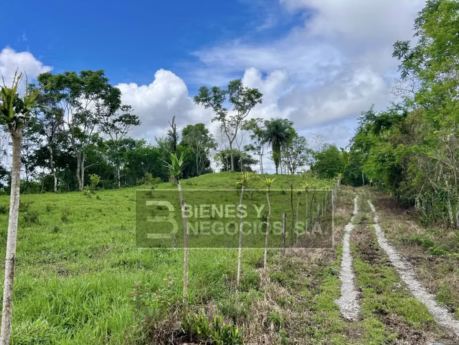 Finca en Chiriqui, San Andrés 8.7 hectáreas en Quebrada Llana