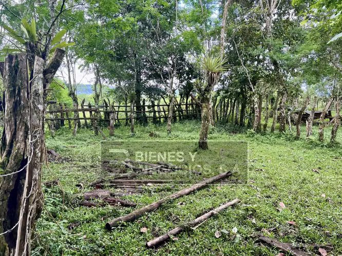 Finca en Chiriqui, San Andrés 8.7 hectáreas en Quebrada Llana