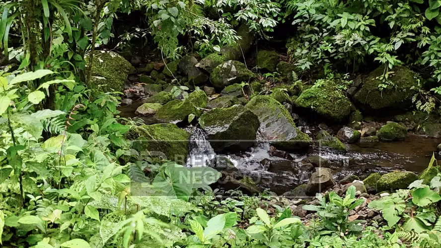 Finca en Chiriqui, San Andrés 8.7 hectáreas en Quebrada Llana