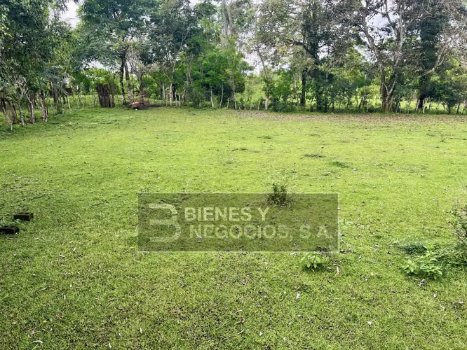 Finca en Chiriqui, San Andrés 8.7 hectáreas en Quebrada Llana