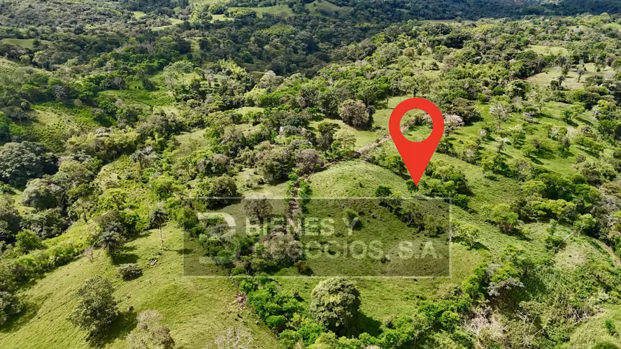 Finca en Chiriqui, San Andrés 8.7 hectáreas en Quebrada Llana