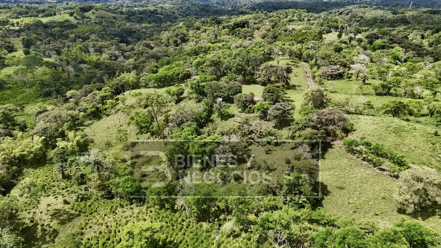 Finca en Chiriqui, San Andrés 8.7 hectáreas en Quebrada Llana