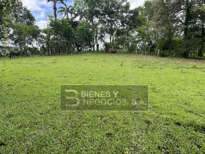 Finca en Chiriqui, San Andrés 8.7 hectáreas en Quebrada Llana