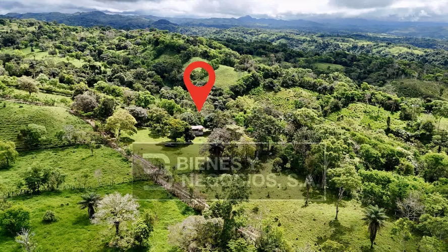 Finca en Chiriqui, San Andrés 8.7 hectáreas en Quebrada Llana