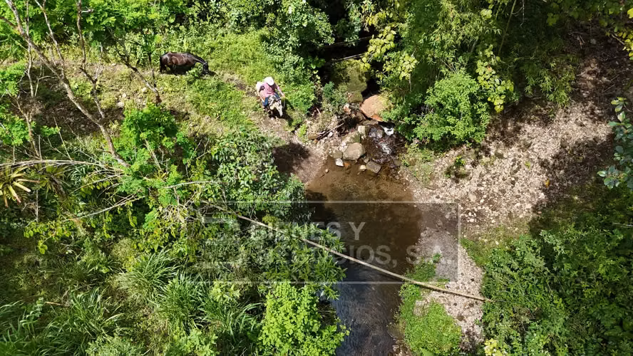Finca en Chiriqui, San Andrés 8.7 hectáreas en Quebrada Llana