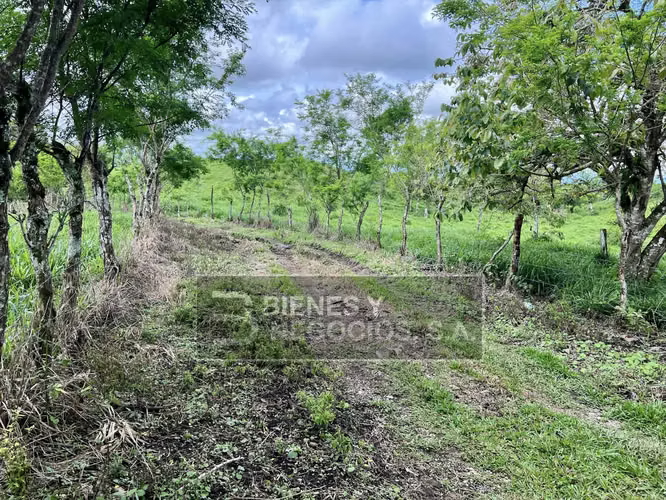 Finca en Chiriqui, San Andrés 8.7 hectáreas en Quebrada Llana