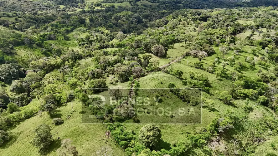 Finca en Chiriqui, San Andrés 8.7 hectáreas en Quebrada Llana