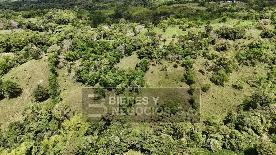 Finca en Chiriqui, San Andrés 8.7 hectáreas en Quebrada Llana