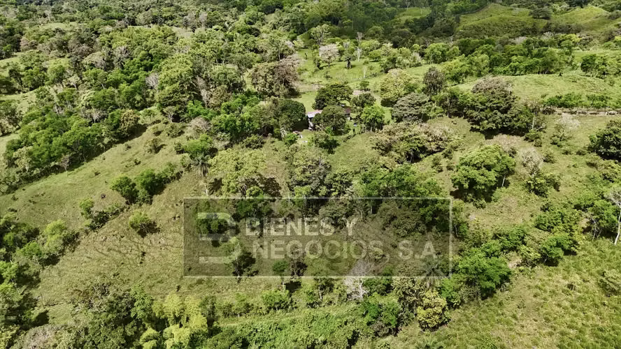 Finca en Chiriqui, San Andrés 8.7 hectáreas en Quebrada Llana