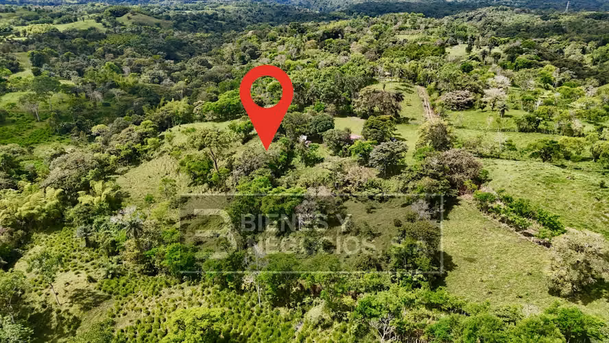 Finca en Chiriqui, San Andrés 8.7 hectáreas en Quebrada Llana