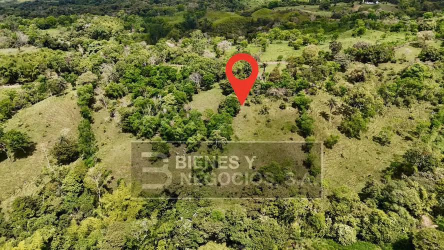 Finca en Chiriqui, San Andrés 8.7 hectáreas en Quebrada Llana