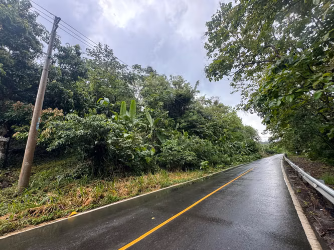 Terreno en venta en Buenos Aires, Sora, Chame con 3,016m2 vista a la montaña - Imagen 2
