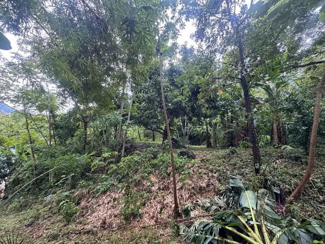 Terreno en venta en Buenos Aires, Sora, Chame con 3,016m2 vista a la montaña - Imagen 4