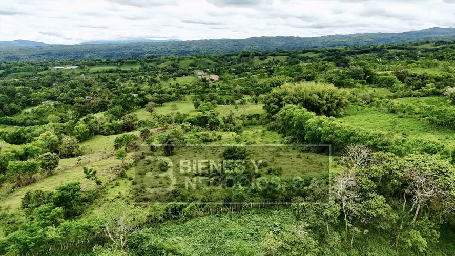Terreno en Chiriqui, Bugaba 2.6 hectáreas en Camarón, Santa Rosa