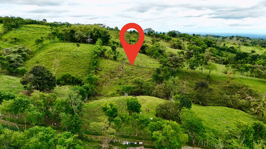 Terreno en Chiriqui, Bugaba 2.6 hectáreas en Camarón, Santa Rosa - Imagen 4